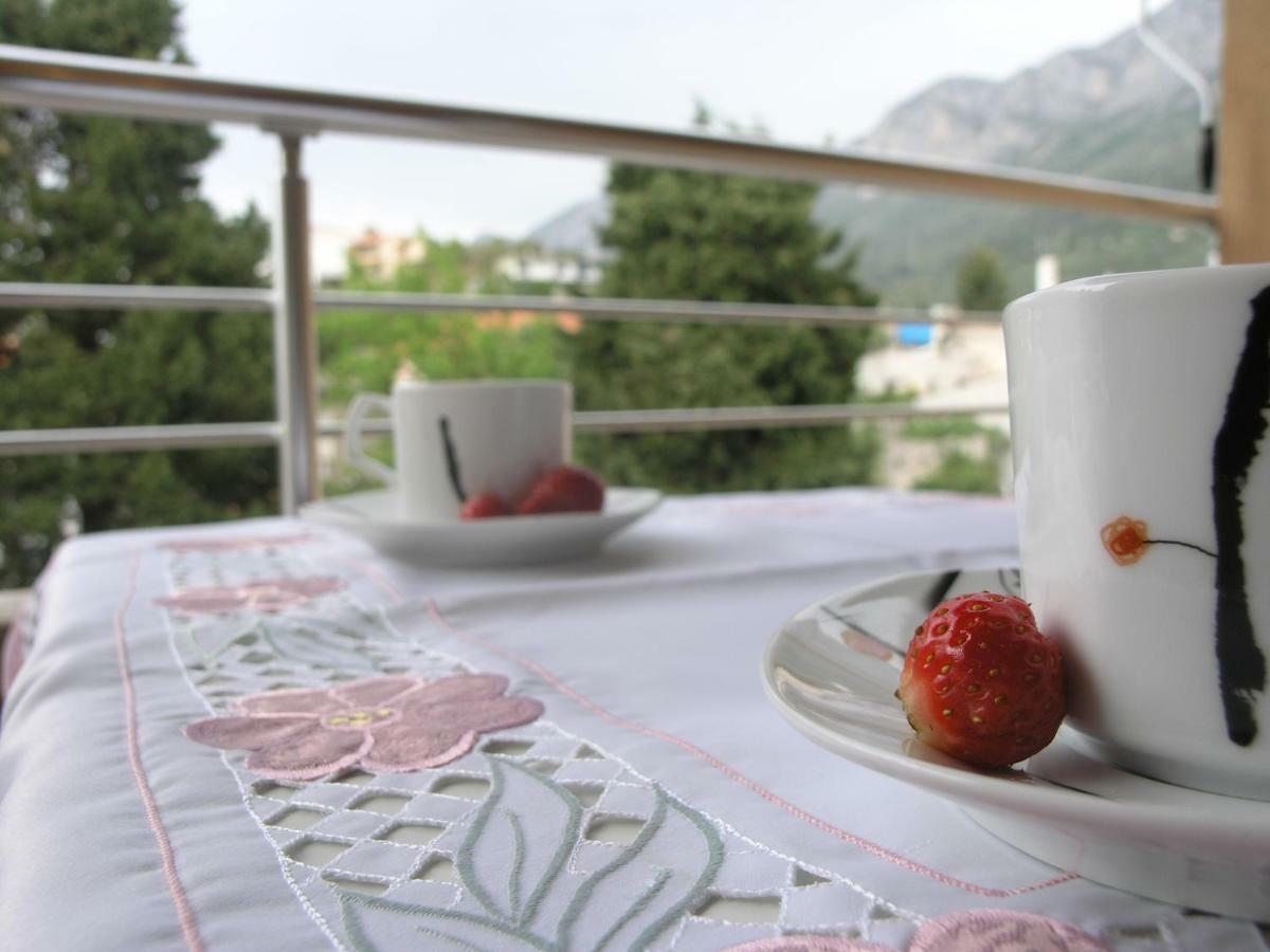 Musa Apartment Gradac  Eksteriør bilde